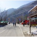 아라리쉼터 이미지