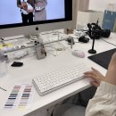 포커스 온 펫 | 덕계사진관 포커스온 개족사진 찍어보기
