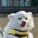 언더아멍 이미지