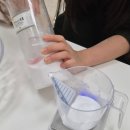 반려견을 위한 천연 아로마테라피 | 펫아로마 원데이클래스 후기｜강아지 피부·피모 관리를 위한 아로마 입욕제 만들기