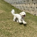 올바른 참견 이미지