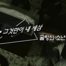 포니캐치