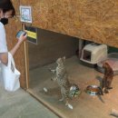 주식회사 프렌쥬(Friend Zoo) | 인천동물원 강화도 프렌쥬랜드