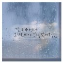비가와 이미지