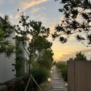 슬로메이 이미지