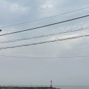 이호조아 이미지