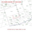 금오대로-1 네이버블로그