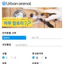 고양이 하루 이미지