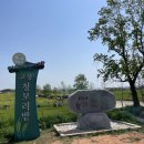 [고창]보리나라학원농장_ 아이랑 힐링하고온 아름다운 청보리밭축제 청보리 유채꽃명소