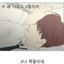 체르니 이미지