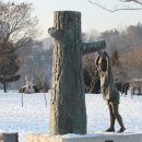 출토96 소나무 이미지