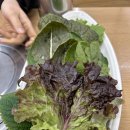 송촌동 맛집하면 여기! 몇 년째 다니는 강길도 낙지마을