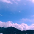 코다리세상 네이버블로그
