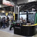 개 in 살롱 이미지