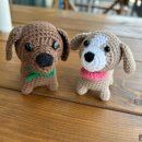 우리집강아지 이미지