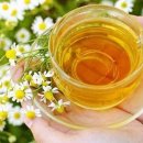 카모마일의원 이미지