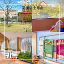 웨그(Wag) | 경주 애견동반 숙소 반려견의 천국 키녹 펫 호텔