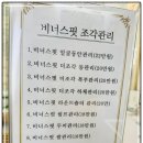 리본전주점 이미지