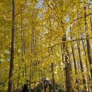 (주) 암새들 이미지