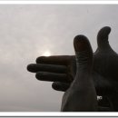 플하우스 이미지