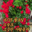 상태도경로당 Daum카페