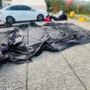 몬스터 | 코베아 몬스터 블랙 후기｜피칭 방법과 실제 사용 후기