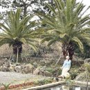 리버풀앤스파 | [제주] 한림 감성숙소 풀빌라 커플여행 펜션, 리버풀앤스파