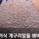 헤인헤어 이미지