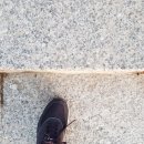 기분조야