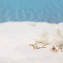 바늘생활