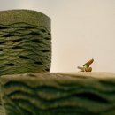 향기담기 이미지