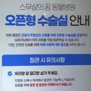 스무해 동물병원 | 잠실 고양이 병원 찾는다면 ✨ 집사가 선택한 ‘스무살의 꿈’ 후기, 구충제날🐾
