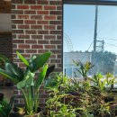 파도소리카페 이미지