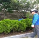 봉래2동-10 이미지