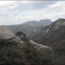 달맞이산장