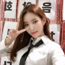 지미니 Daum카페