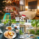 발리 아만다야 짱구 숙소 가성비 호텔 수영장 조식 후기