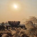 하늘공원 이미지