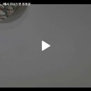 한국화(실용) 이미지