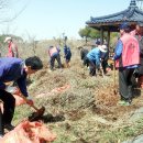 도비산 등산로 이미지