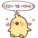 아이랑 문경 여행 전통시장 먹거리 문경약돌돼지한상