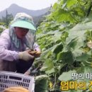 한탄강이야기협동조합 이미지