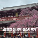 향로식당 | 3월 일본 도쿄 여행 무료 입장 가능 가장 오래된 사찰 아사쿠사 센소지 벚꽃 후기