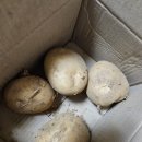 더드림농수산