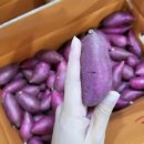 창환농장 네이버블로그