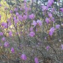 말래펜션 이미지