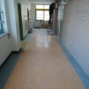 조광상사 이미지