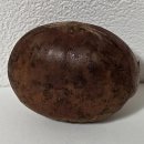 미즈병원 앞 이미지