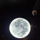 문라이트블루 | [사가정 술집] 문라이트 위스키바 솔직 후기