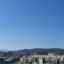 아지나라 이미지